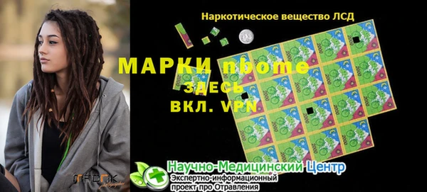ПСИЛОЦИБИНОВЫЕ ГРИБЫ Алзамай