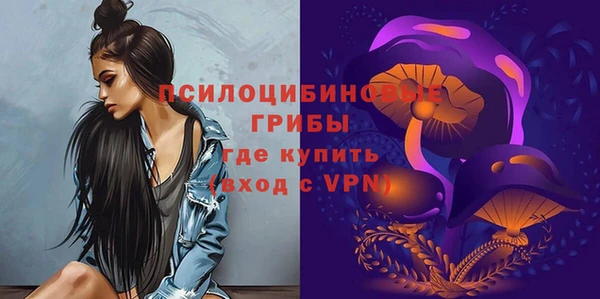 mix Алексин