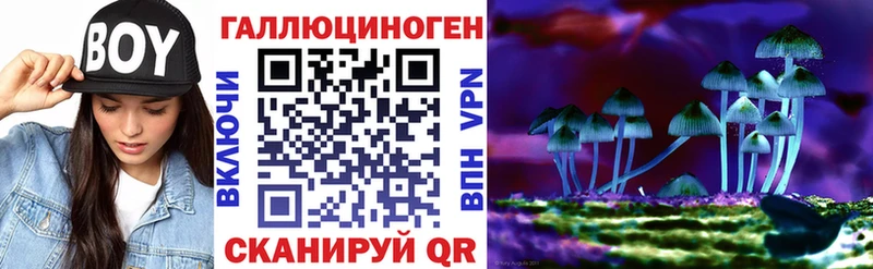 купить наркоту  Малаховка  Псилоцибиновые грибы ЛСД 
