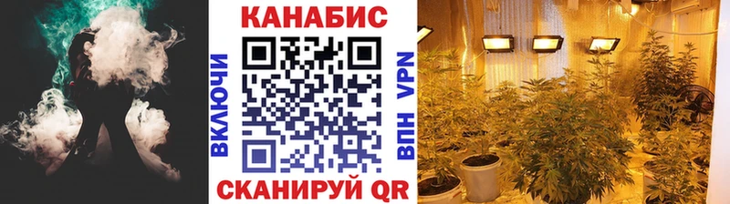 Бошки Шишки план  где продают   Малаховка 